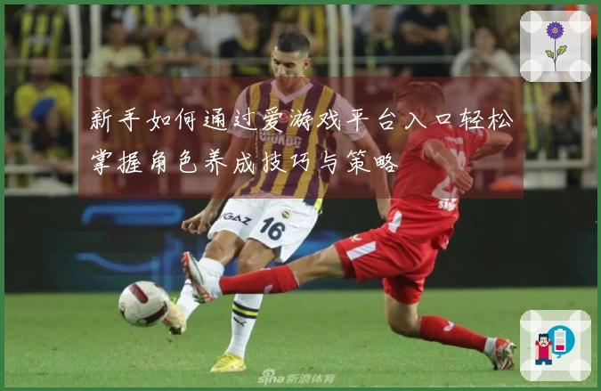 新手如何通过爱游戏平台入口轻松掌握角色养成技巧与策略