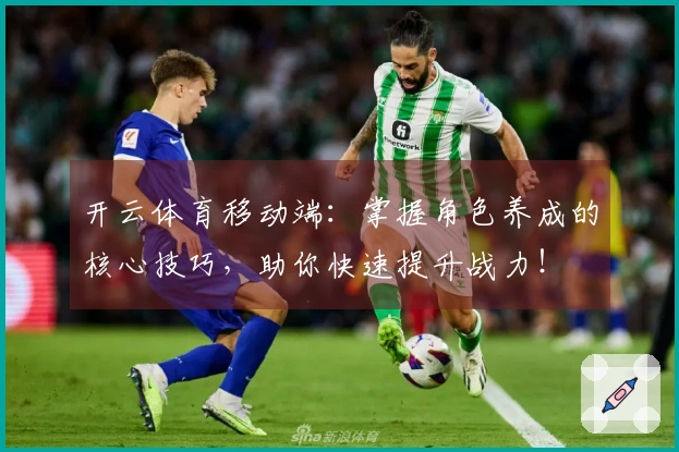 开云体育移动端：掌握角色养成的核心技巧，助你快速提升战力！